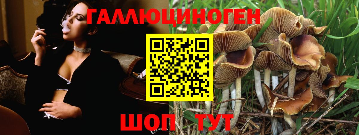 Псилоцибиновые грибы мицелий  Вход с VPN  Галлюциногенные грибы мицелий  Анжеро-Судженск 